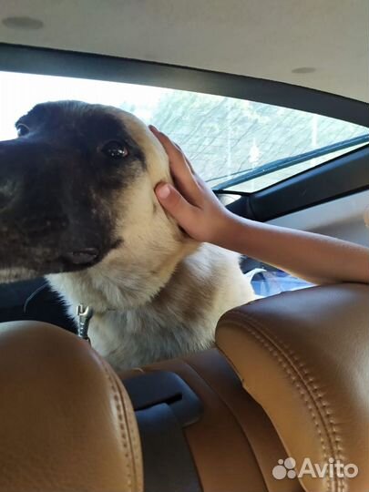 Джери ищет семью