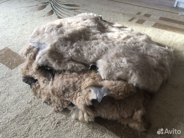 Овечья шкура