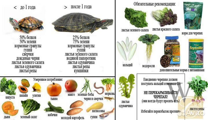 Аквариумы и террариумы в комплекте: от 14л до 300л