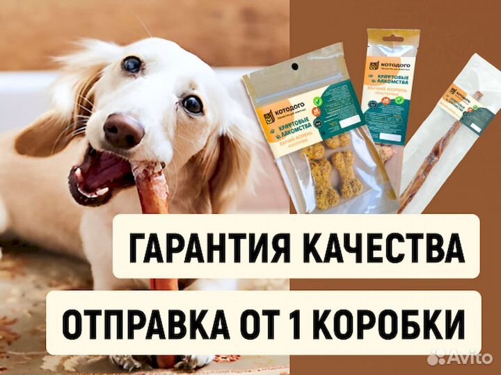 Бычий корень оптом. Ниже рынка