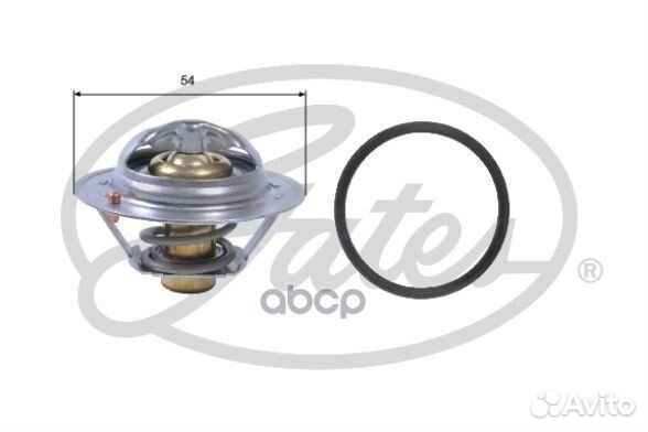 Термостат, охлаждающая жидкость nsii0000664938