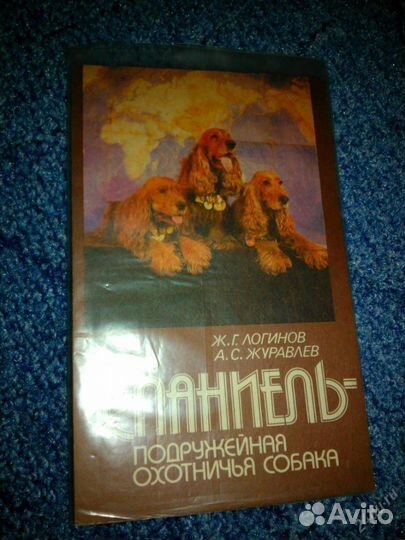 Книга