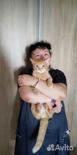 Квартирная зоогостиница, передержка животных выгул