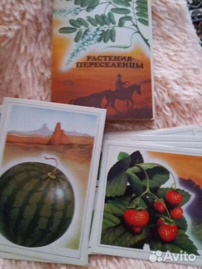 Набор открыток 