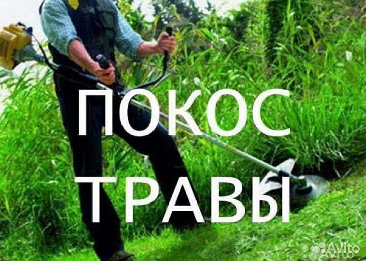 Косим траву