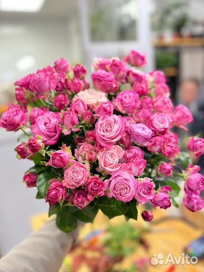 Розы кустовые:Свежее поступление