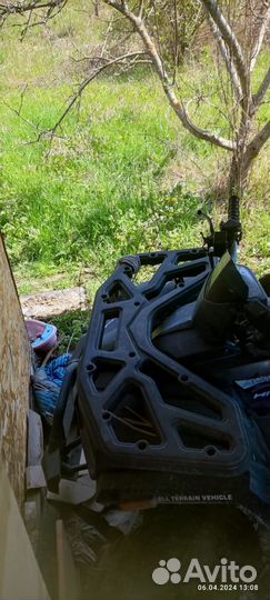 Avantis hunter 200 big