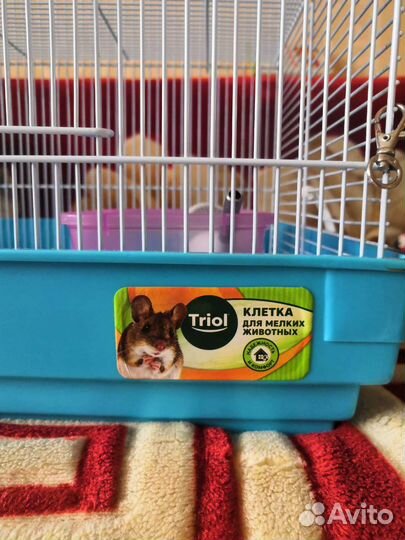 Клетка для грызунов