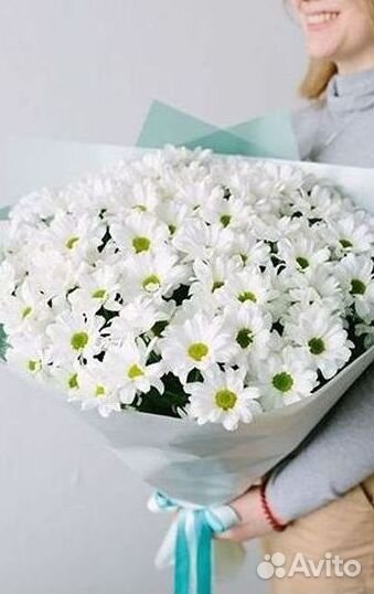 Хризантема Букет хризантем Доставка