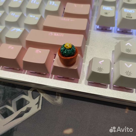 Кейкап кактус