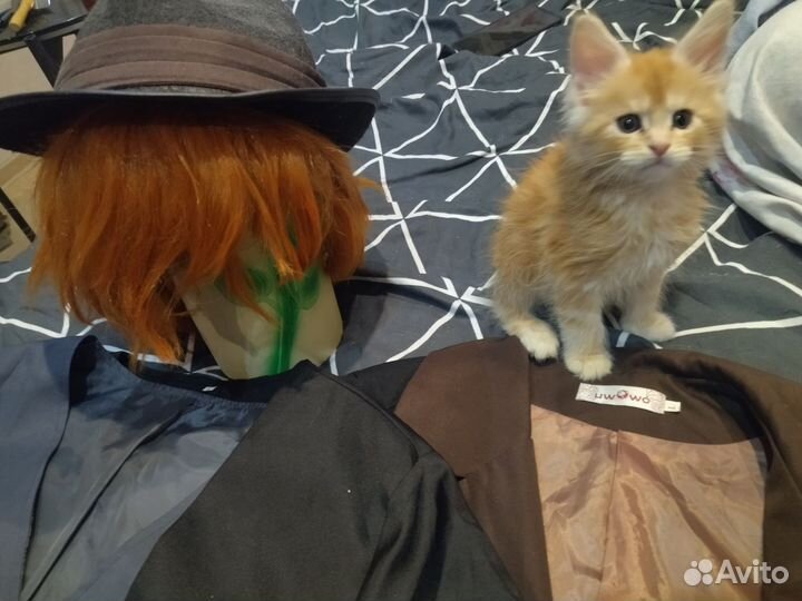 Костюмы Косплей аниме