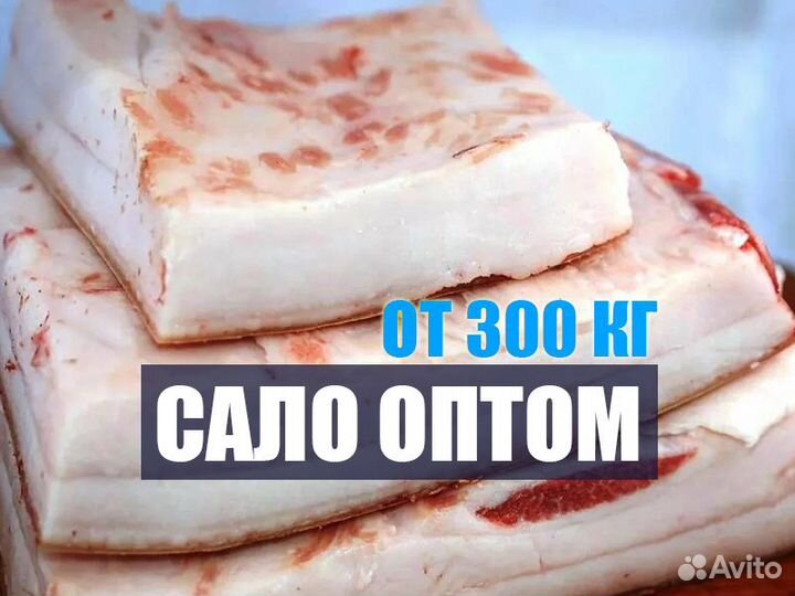 Сало оптом. Грудинка оптом