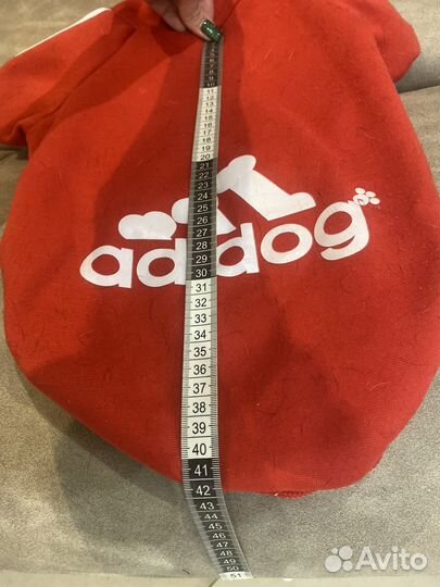 Одежда для собак