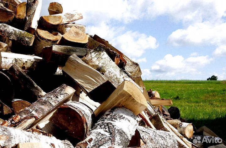 Дрова по безналу