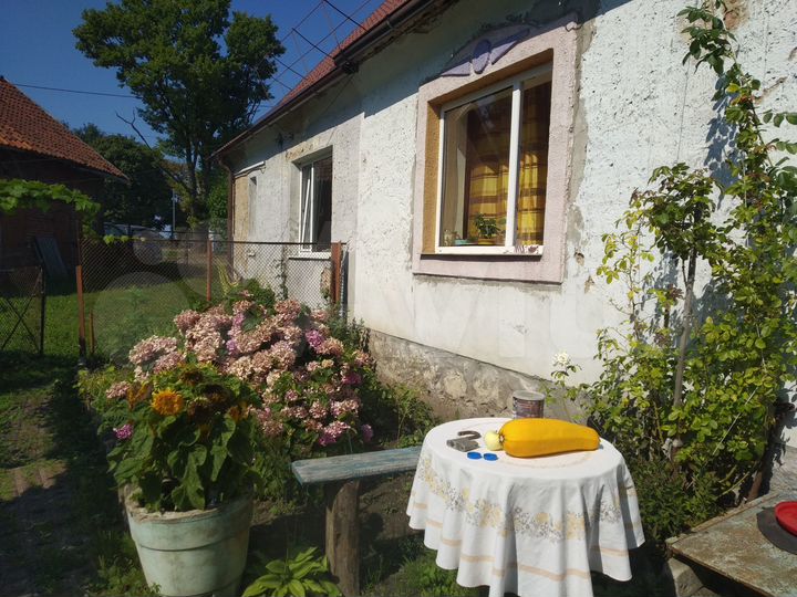 2-к. квартира, 56,3 м², 1/2 эт.