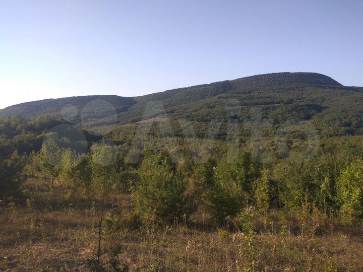 Участок 82 сот. (СНТ, ДНП)