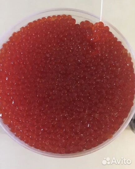 Красная икра кижуча, Камчатка