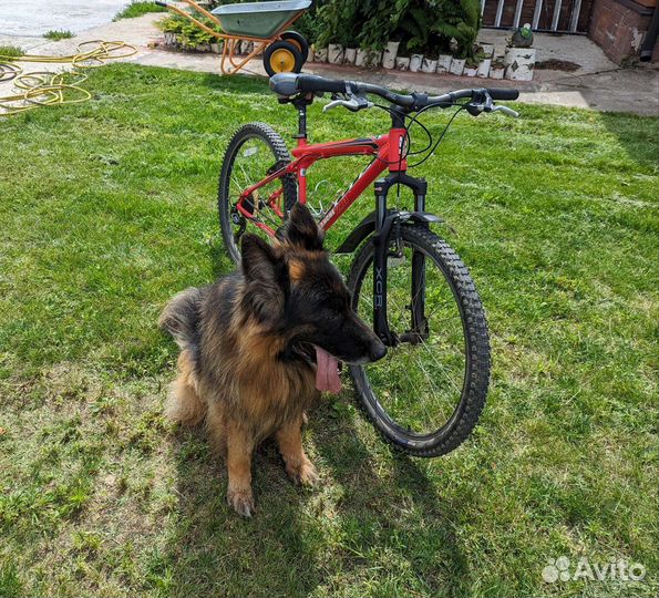 Горный велосипед GT avalanche 2.0