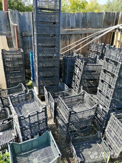 Пластиковые ящики бу