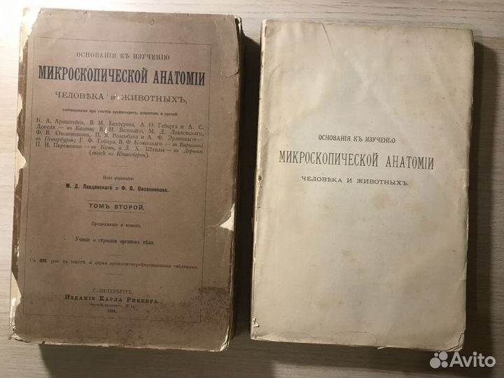 Раритетная книга по медицине (Анатомия) 1888 г