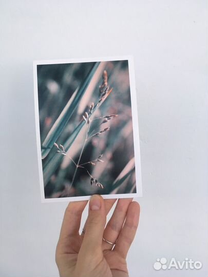 Фотооткрытки