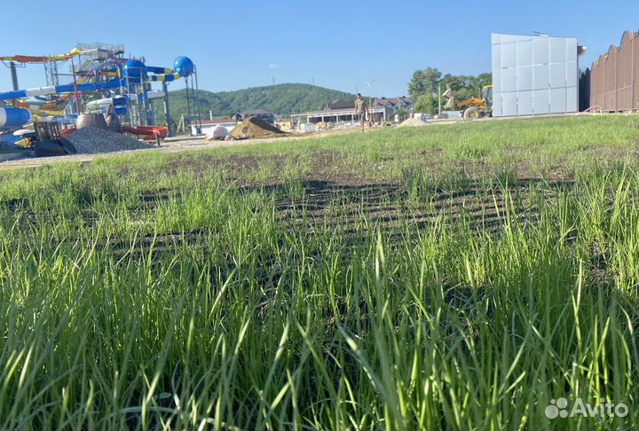 Семена газонных трав. Травосмеси. Газоны