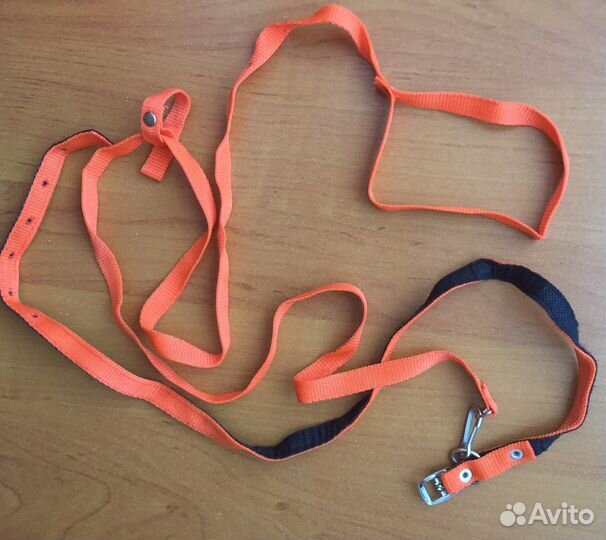 Одежда для собак