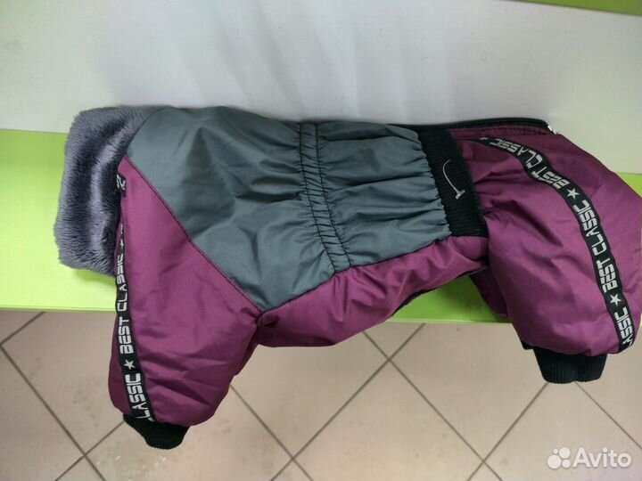 Одежда для собак