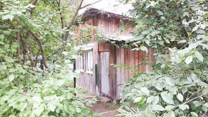 Дом 83 м² на участке 17 сот.