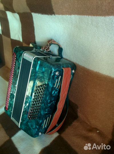 Аккордеон 1/2