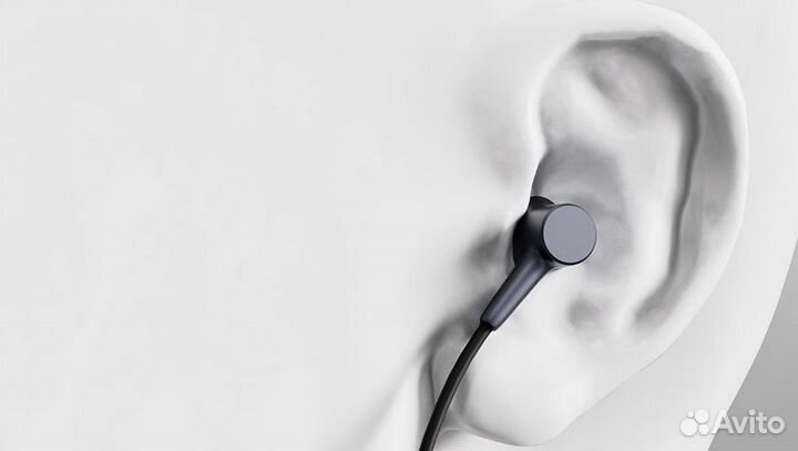 Наушники Xiaomi Mi In-Ear Basic (DDQ02WM) черный