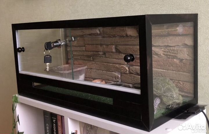 Террариум для рептилий