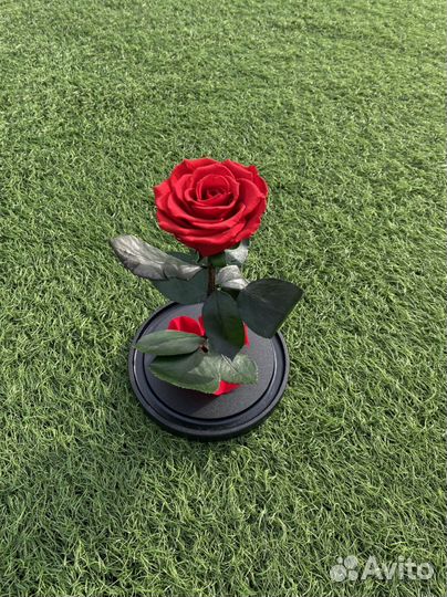 Вечная роза в колбе,роза в стекле,живая роза.Опт