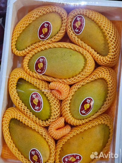 Манго свежее