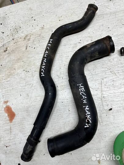 Трубка системы охлаждения maxima a33 Cefiro