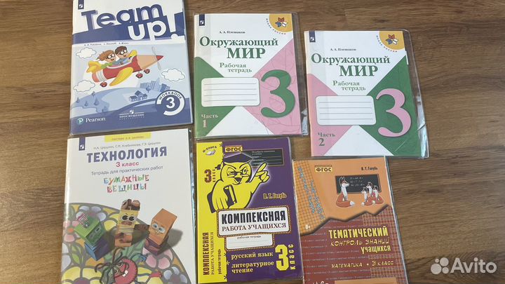 Рабочая тетрадь 3 класс окружащий мир английский