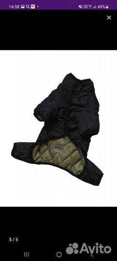 Комбинезон для собаки