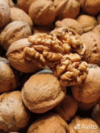 Продам грецкий орех в скорлупе