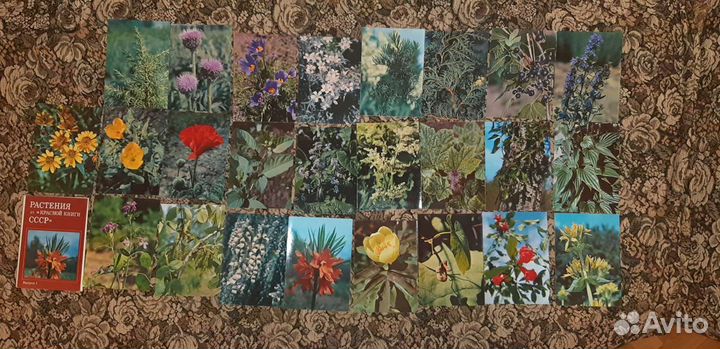 Советские открытки (часть 1)