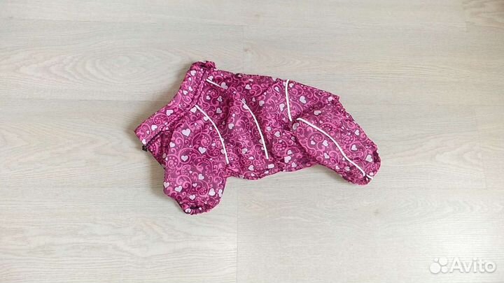 Новые комбинезоны и обувь для собак