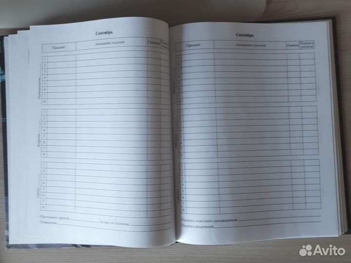 Дневник школьный для 1-11 классов, 48 листов
