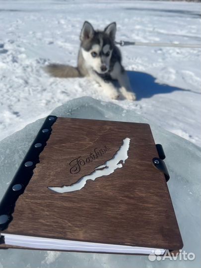 Блокноты ежедневники