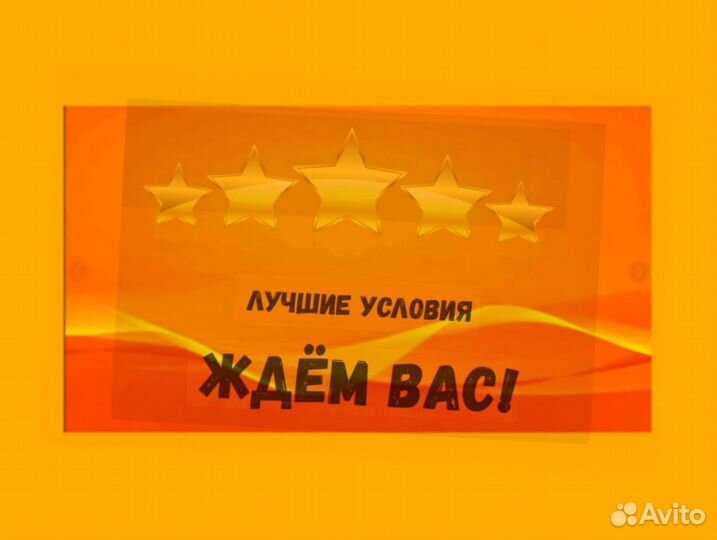 Наборщик заказов Без опыта Еженедельные выплаты