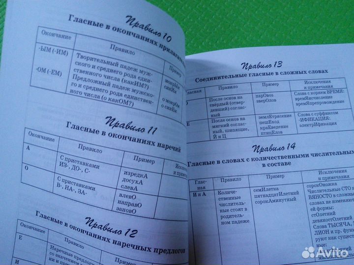 Русова Пишем грамотно 100 важнейших правил