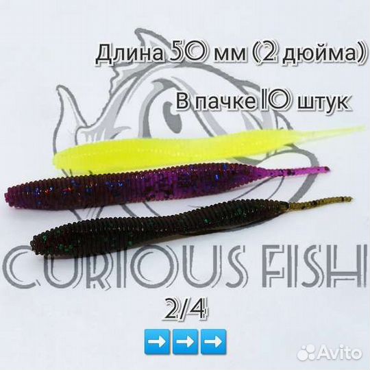 Curious Fish Sexi Waist 2 дюйма (5см)