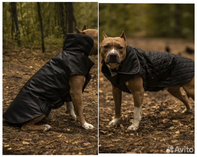 Попона для собак/одежда для собак новая