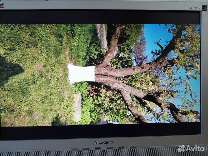 Монитор 19