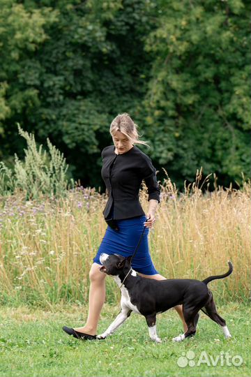 Профессиональный хендлер