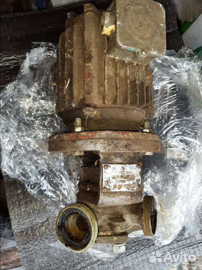 Насос шнк15-2. Пищевой. Для вязких продуктов