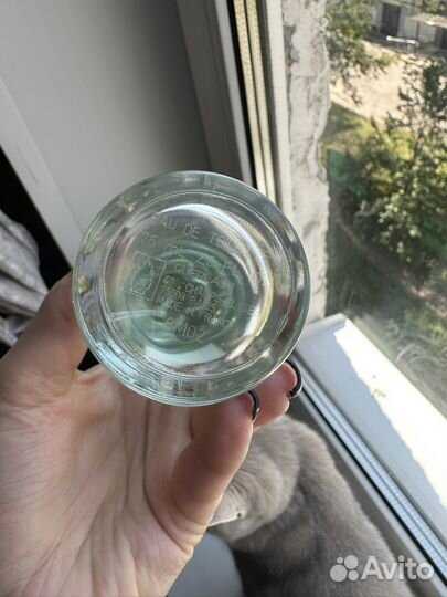 Guerlain aqua allegoria coconut fizz